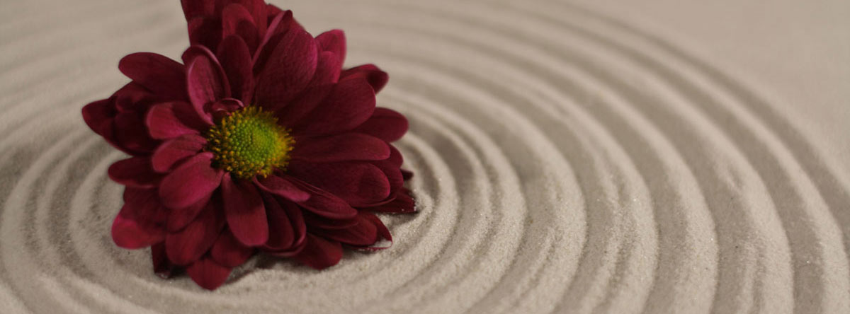 background photo for Tranquility Falls Day Spa and Salon